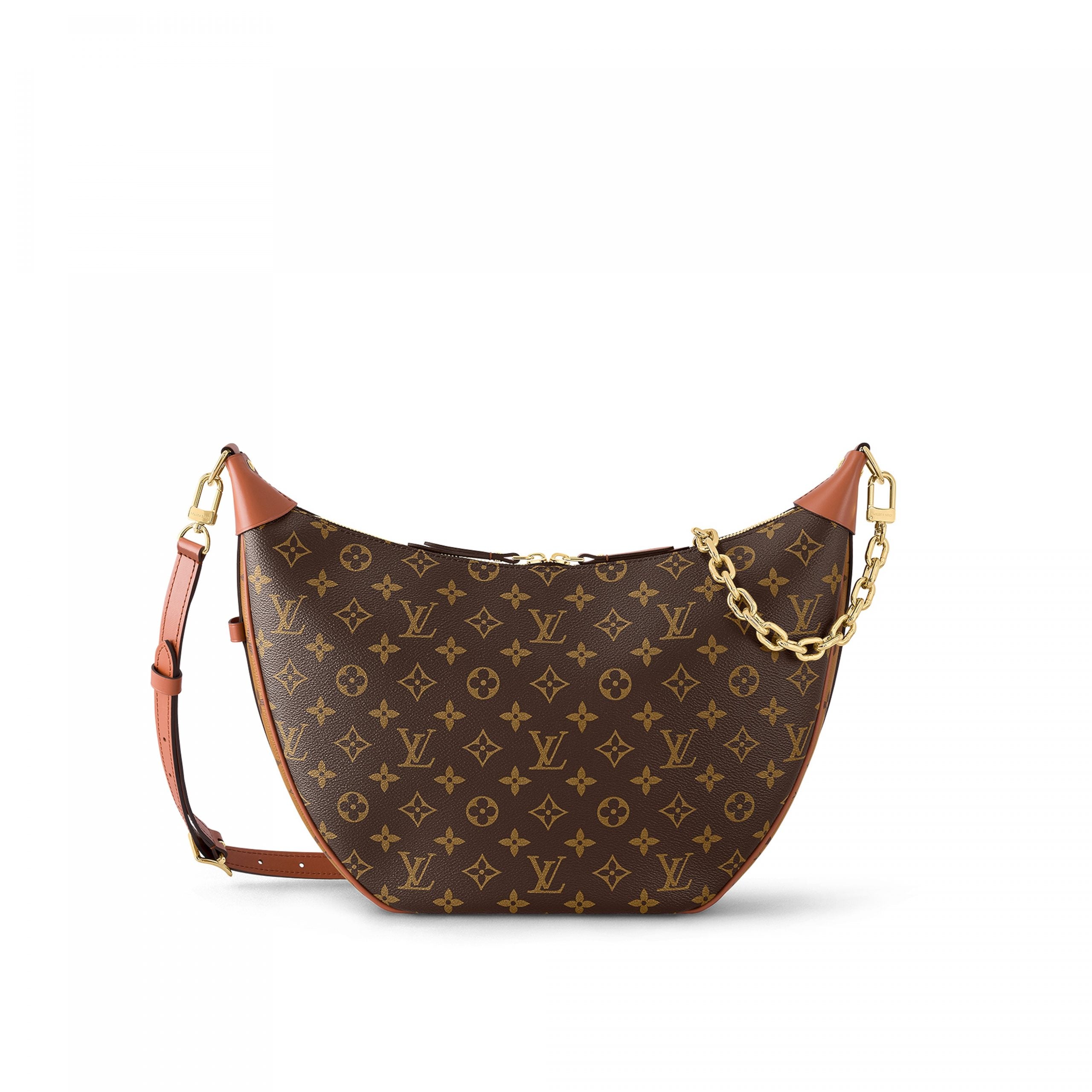 Louis Vuitton Loop Hobo Monogram